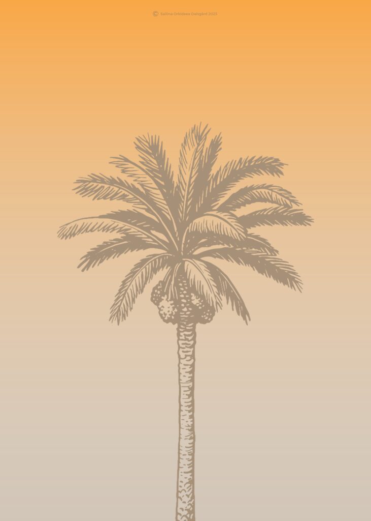 The sunset of welth palm