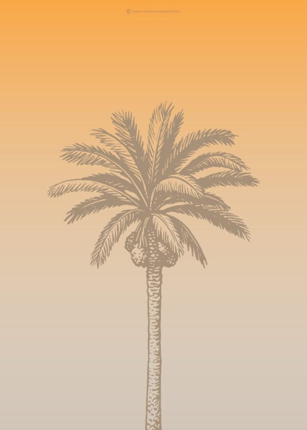 The sunset of welth palm
